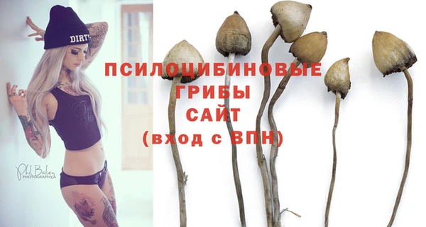 марки lsd Ельня