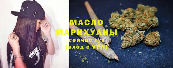 твердый Дмитровск