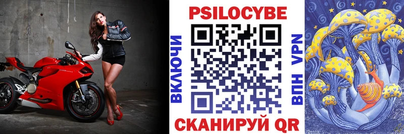 Псилоцибиновые грибы Psilocybe  hydra ссылки  Заинск 