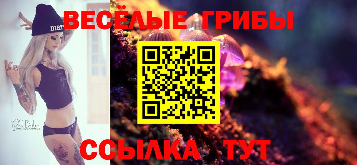 Псилоцибиновые грибы Magic Shrooms  Галлюциногенные грибы мицелий  Вход с VPN  Заинск 