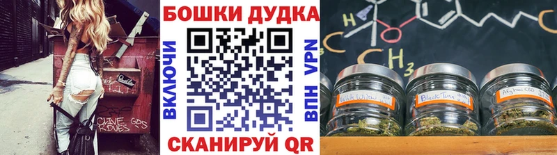МЕГА зеркало  Заинск  Конопля White Widow 